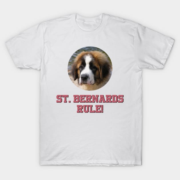 St. Bernards Rule! T-Shirt by Naves